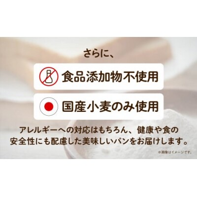 【6ヶ月定期便】【卵・乳アレルギー対応】無添加パンセット 8種38個 冷凍パン 詰め合わせパンセット