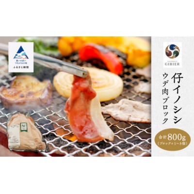 仔イノシシ ウデ肉 ブロック 800g 冷凍猪肉 天然ジビエ ジビエ認証取得で安心