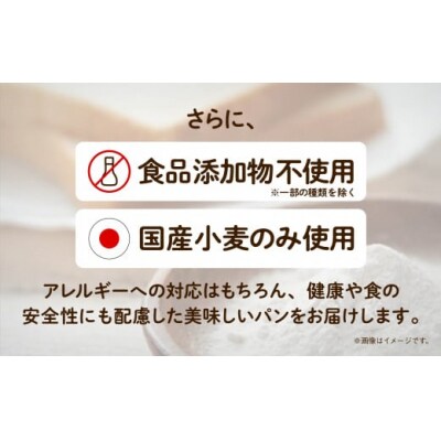 「6ヶ月定期便(毎月)」【卵・乳アレルギー対応】学校給食パンセット(全10種類)