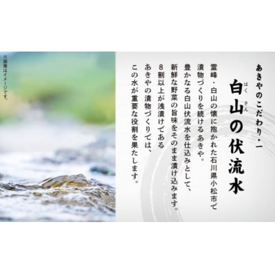 大根寿し詰め合わせ 200g×5袋 加賀の味覚 なれずし 漬物