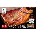 国産うなぎ蒲焼 3尾(各200g) 関西風うなぎの蒲焼き ※真空包装でお届け