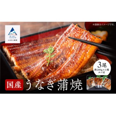 国産うなぎ蒲焼 3尾(各200g) 関西風うなぎの蒲焼き ※真空包装でお届け