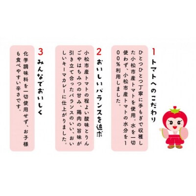おいしいトマトで作ったカレー 5箱セット レトルトカレー トマトカレー