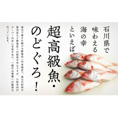 のどぐろ一夜干し詰め合わせセット 5尾(各120g) 干物のどぐろ 高級魚