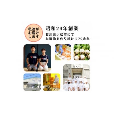 国産ピリ辛らっきょう 10袋セット らっきょう漬け 漬物