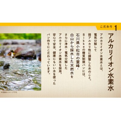 糖質制限米粉パンセット (ロール1袋 食パン1本) 冷凍パン 低糖質