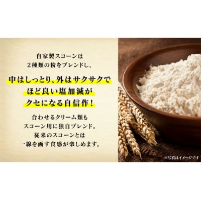 スコーンサンドセット(8個入り)