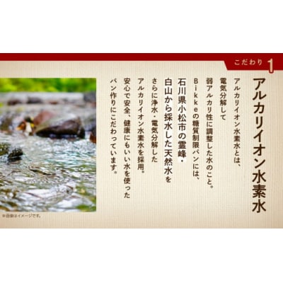 【3ヶ月定期便】糖質制限極上食パン 4種 冷凍パン 低糖質 食パン定期便