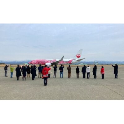 【限定25名】 JALスタッフと小松空港見学 1名様分 日本航空 見学チケット 空港体験
