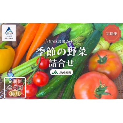 【6ヶ月定期便】小松市産季節の野菜詰め合わせ 定期便 JA小松 野菜定期便