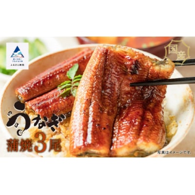 国産うなぎ蒲焼3尾