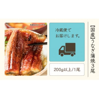国産うなぎ蒲焼3尾