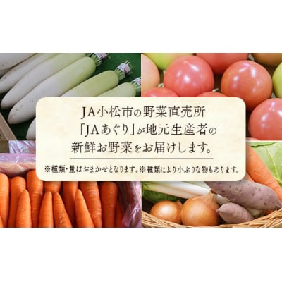 小松市産季節の野菜詰め合わせ 石川県産の美味しい野菜 JA小松
