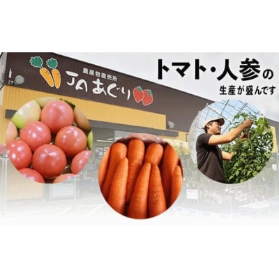 小松市産季節の野菜詰め合わせ 石川県産の美味しい野菜 JA小松