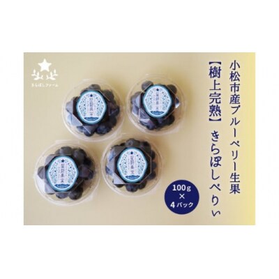 【季節限定】小松市産ブルーベリー「きらぼしべりぃ」 生果 400g 樹上完熟ブルーベリー