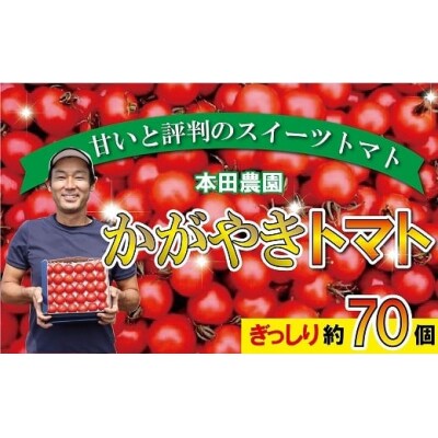 かがやきトマト 2箱(約70個) スイーツトマト 本田農園