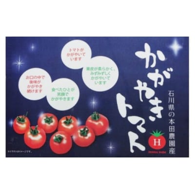 かがやきトマト 2箱(約70個) スイーツトマト 本田農園