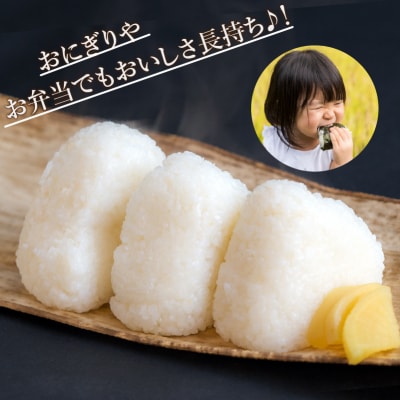 【新米先行受付】令和7年産 コシヒカリ 精米 10kg(5kg×2袋)冷めても美味しい小松市産のお米