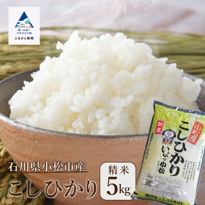 【新米先行受付】令和7年産 コシヒカリ 精米 5kg 冷めても美味しい小松市産のお米