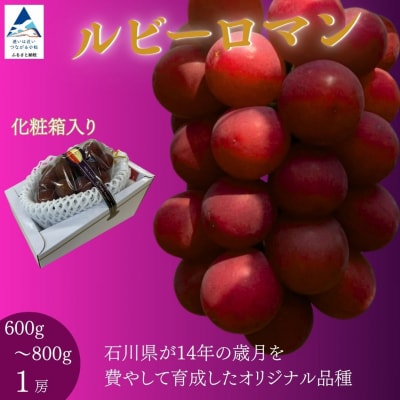 2026年 先行予約 大粒ぶどう ルビーロマン 贈答用 1房 600g~800g 石川県産ブドウ