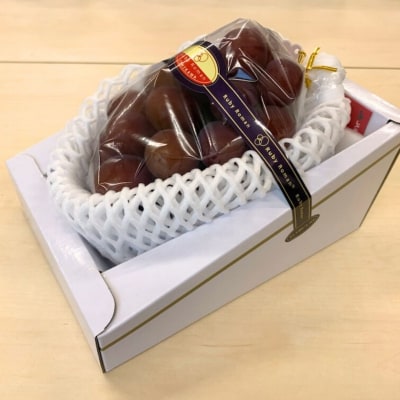 2026年 先行予約 大粒ぶどう ルビーロマン 贈答用 1房 600g~800g 石川県産ブドウ