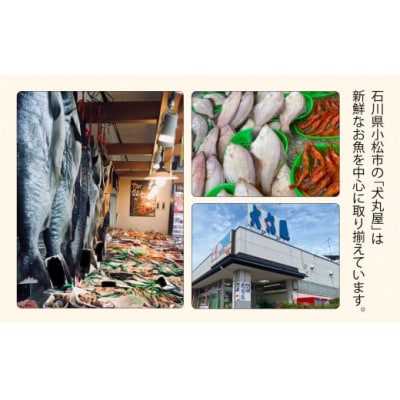 昆布締め3種詰め合わせセット 2人前 魚刺身(車鯛 さわら ひらめ) 刺身昆布締め ※冷凍でお届け