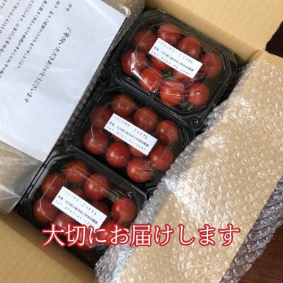 【先行予約】小松市産 ミニトマト 1.2kg プチトマト 西田農園のトマト