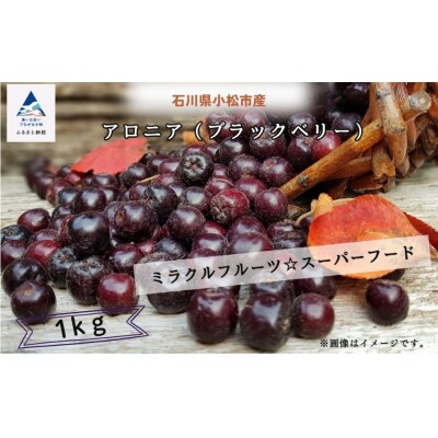 ベリー アロニア 1kg 果物 フルーツベリー