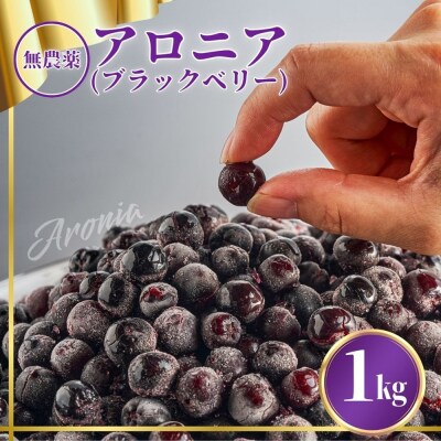 【先行予約】ベリー アロニア 1kg 果物 フルーツベリー
