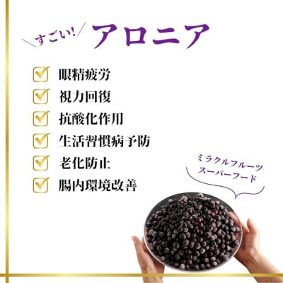 【先行予約】ベリー アロニア 1kg 果物 フルーツベリー