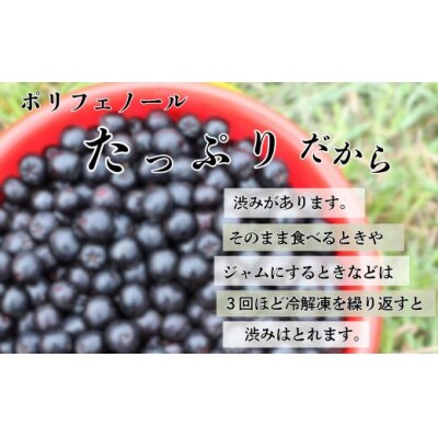 ベリー アロニア 1kg 果物 フルーツベリー