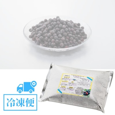 【先行予約】ベリー アロニア 1kg 果物 フルーツベリー