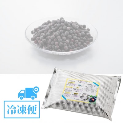 【先行予約】ベリー アロニア 1kg 果物 フルーツベリー