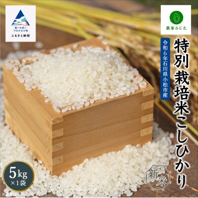 コシヒカリ 5kg 令和7年産 新米 特別栽培米こしひかり 