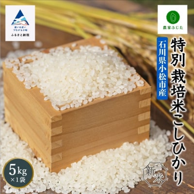 コシヒカリ 5kg 令和7年産 新米 特別栽培米こしひかり 