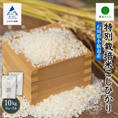 コシヒカリ 10kg 特別栽培米 令和7年産こしひかり 精米 【農家ふじた】