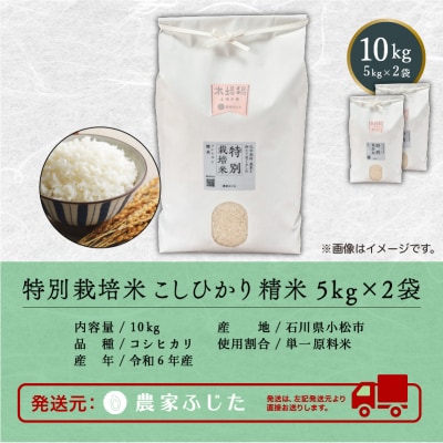 コシヒカリ 10kg 特別栽培米 令和7年産こしひかり 精米 【農家ふじた】