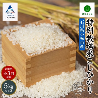 コシヒカリ 定期便 5kg×3回 令和7年産 新米 特別栽培米こしひかり 【農家ふじた】