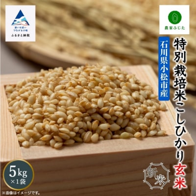 コシヒカリ 玄米 5kg 令和7年産 新米 特別栽培米こしひかり 【農家ふじた】