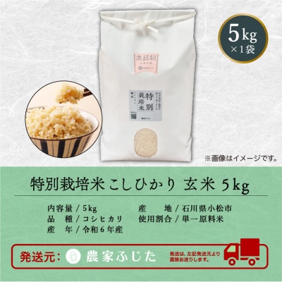 コシヒカリ 玄米 5kg 令和7年産 新米 特別栽培米こしひかり 【農家ふじた】