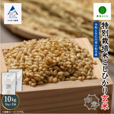コシヒカリ 玄米 10kg 令和7年産 新米 特別栽培米こしひかり 【農家ふじた】