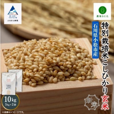 コシヒカリ 玄米 10kg 令和7年産 新米 特別栽培米こしひかり 【農家ふじた】