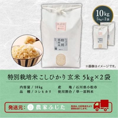 コシヒカリ 玄米 10kg 令和8年産 新米 特別栽培米こしひかり 【農家ふじた】