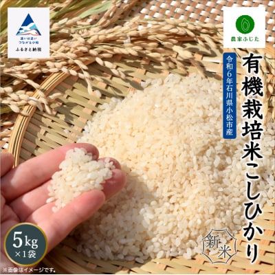 コシヒカリ 5kg 有機栽培米 令和7年産新米 有機JAS認定 こしひかり 精米【農家ふじた】