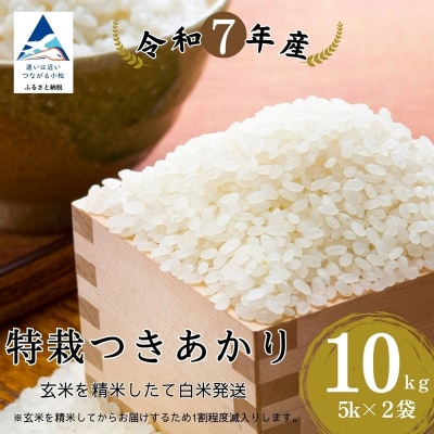 特栽つきあかり 精米 白米 (玄米10kgを精米したて白米発送) 令和7年度産