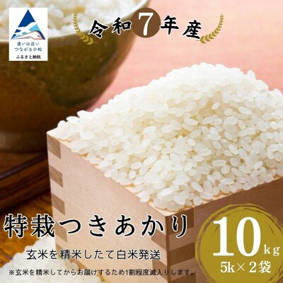 特栽つきあかり 精米 白米 (玄米10kgを精米したて白米発送) 令和7年度産