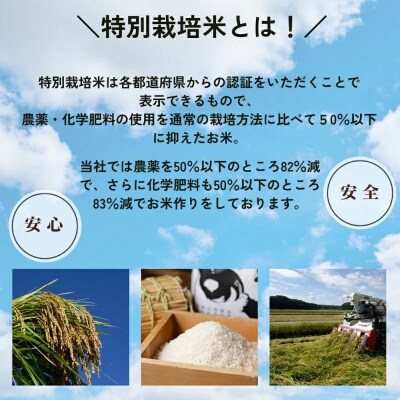 特栽つきあかり 精米 白米 (玄米10kgを精米したて白米発送) 令和7年度産
