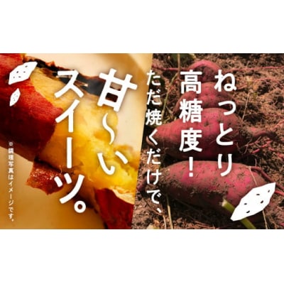 さつまいも おやつ 野菜　ねっとり甘〜い おいもさん(紅はるか) 2.5kg [007023]