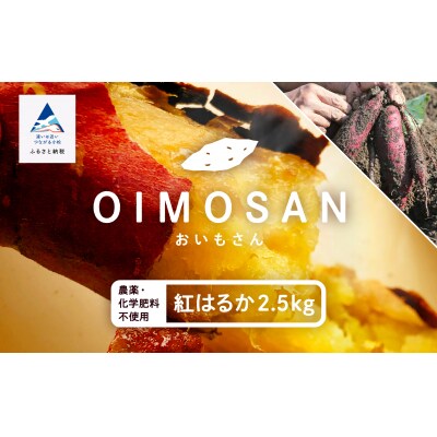 【先行予約】 さつまいも おやつ 野菜 ねっとり甘〜い おいもさん(紅はるか) 2.5kg