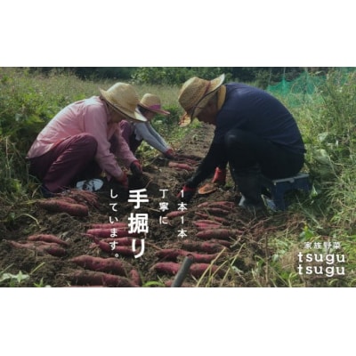 さつまいも おやつ 野菜　ねっとり甘〜い おいもさん(紅はるか) 2.5kg [007023]